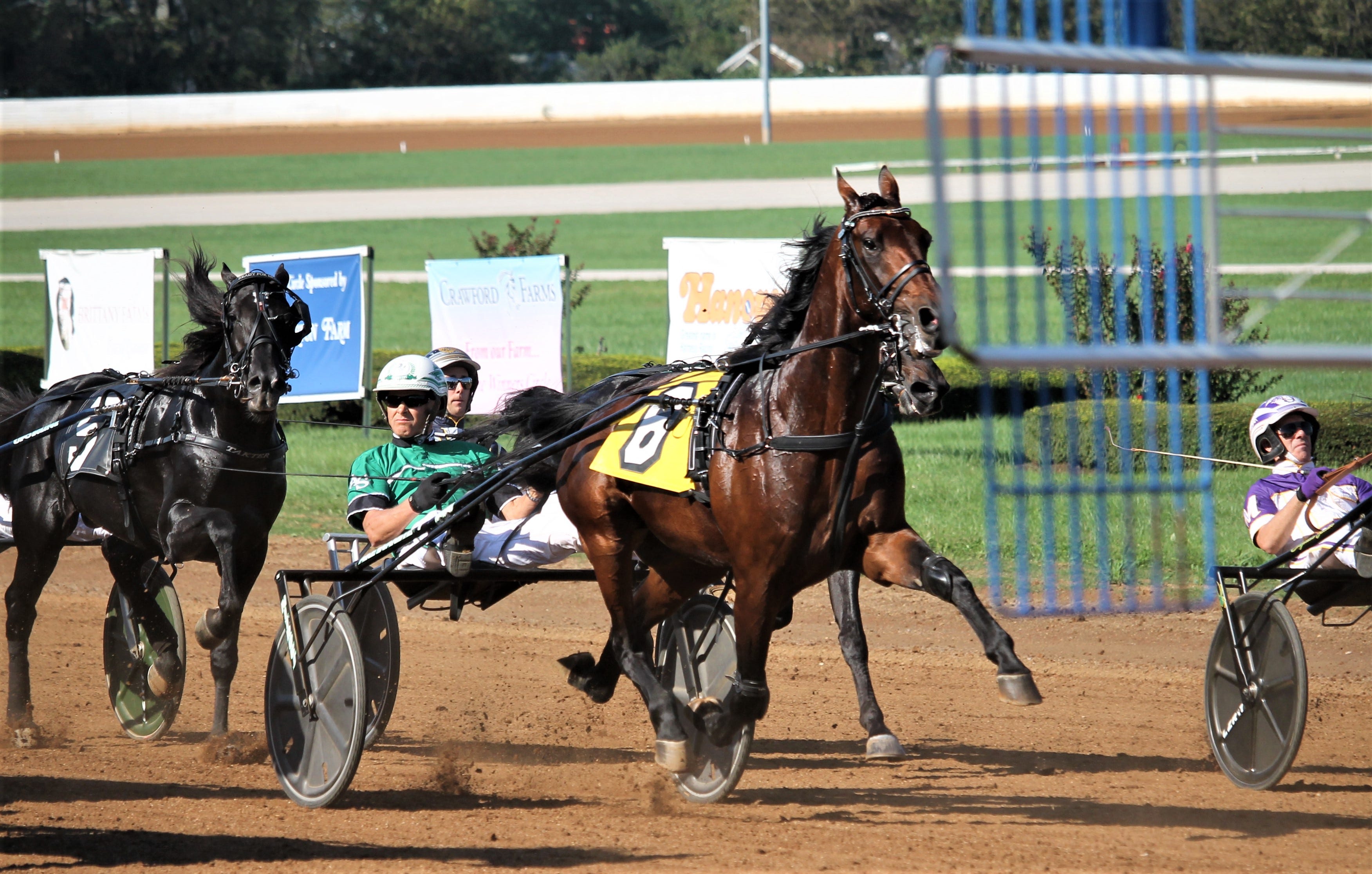 Breeders Crown Ecurie D aiming to complete multiple triples in Open Trot